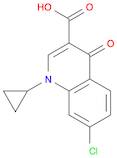 7-Chloro-1-cyclopropyl-4-oxo-1,4-dihydroquinoline-3-carboxylic acid