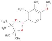 4,4,5,5-TETRAMETHYL-2-(2,3-DIMETHYL-4-METHOXYPHENYL)-[1,3,2]DIOXABOROLANE