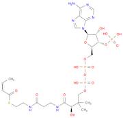 crotonyl-coenzyme A