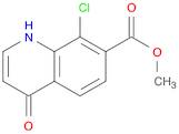 Methyl 8-chloro-4-oxo-1,4-dihydroquinoline-7-carboxylate