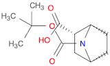 (1S,2S,4R)-7-(tert-Butoxycarbonyl)-7-azabicyclo[2.2.1]heptane-2-carboxylic acid