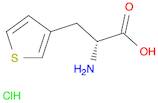 β-(3-Thienyl)-D-alanine