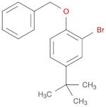 1-Benzyloxy-2-bromo-4-t-butylbenzene