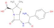 Amoxicillin