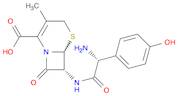 Cefadroxil