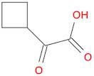 2-Cyclobutyl-2-oxoacetic acid