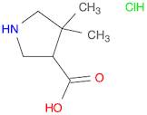 4,4-Dimethylpyrrolidine-3-carboxylic acid hydrochloride