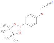 4-CYANOMETHOXY-PHENYLBORONIC ACID, PINACOL ESTER