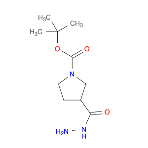 tert-Butyl 3-(hydrazinecarbonyl)pyrrolidine-1-carboxylate