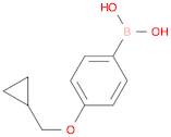 (4-(Cyclopropylmethoxy)phenyl)boronic acid