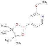 2-Methoxy-4-(4,4,5,5-tetramethyl-1,3,2-dioxaborolan-2-yl)pyridine