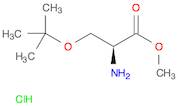 H-Ser(tBu)-OMe.HCl