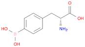 (R)-2-Amino-3-(4-boronophenyl)propanoic acid