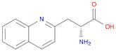 (R)-2-Amino-3-(quinolin-2-yl)propanoic acid