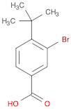 3-BROMO-4-TERT-BUTYLBENZOICACID