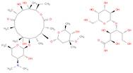 Erythromycin lactobionate