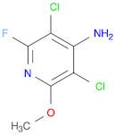 3,5-Dichloro-2-fluoro-6-methoxypyridin-4-amine