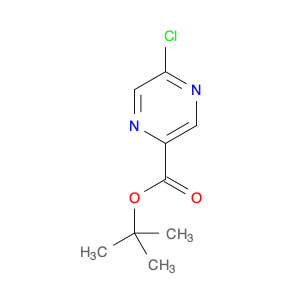 2-Pyrazinecarboxylicacid, 5-chloro-, 1,1-dimethylethyl ester