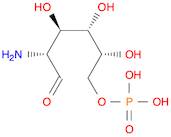 D-Glucosamine 6-phosphate