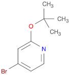 4-Bromo-2-(tert-butoxy)pyridine