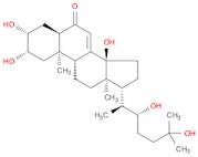 Ecdysone