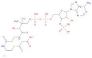 Malonyl coenzyme A lithium salt