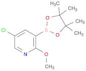 5-chloro-2-methoxy-3-(4,4,5,5-tetramethyl-1,3,2-dioxaborolan-2-yl)pyridine