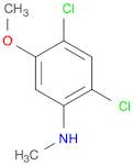 2,4-Dichloro-5-methoxy-N-methylaniline