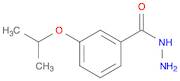 3-ISOPROPOXYBENZOHYDRAZIDE