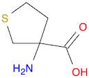 3-Aminotetrahydrothiophene-3-carboxylic acid