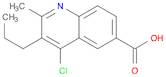 4-CHLORO-2-METHYL-3-PROPYLQUINOLINE-6-CARBOXYLIC ACID