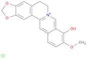 Berberrubine chloride