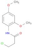 3-Chloro-N-(2,4-dimethoxyphenyl)propanamide