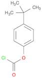 Carbonochloridic acid,4-(1,1-dimethylethyl)phenyl ester