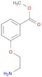 METHYL 3-(2-AMINOETHOXY)BENZOATE