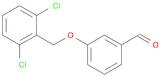 3-[(2,6-DICHLOROBENZYL)OXY]BENZALDEHYDE