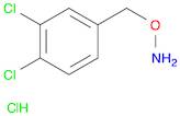 4-[(AMMONIOOXY)METHYL]-1,2-DICHLOROBENZENE CHLORIDE