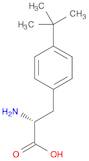 (R)-2-Amino-3-(4-(tert-butyl)phenyl)propanoic acid