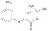 Acetic acid, (3-aminophenoxy)-, 1,1-dimethylethyl ester