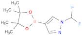 1-(Difluoromethyl)-4-(4,4,5,5-tetramethyl-1,3,2-dioxaborolan-2-yl)-1H-pyrazole