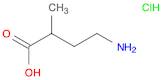 rac 4-Amino-2-methyl-butyric acid hydrochloride