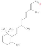 trans-Retinal