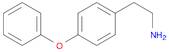 4-PHENOXYPHENETHYLAMINE