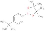 4-TERT-BUTYLPHENYLBORONIC ACID, PINACOL ESTER