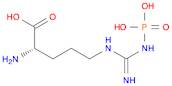 (S)-2-Amino-5-(3-phosphonoguanidino)pentanoic acid