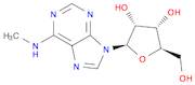 N6-Methyladenosine