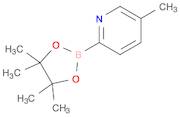 5-Methylpyridine-2-boronic acid, pinacol ester