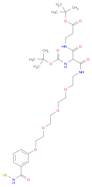 TERT-BUTYL 14-(N-BOC-AMINO)-1-[3-(MERCAPTOCARBAMOYL)PHENOXY]-13,15-DIOXO-3,6,9-TRIOXA- 12,16-DIAZA…