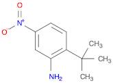 2-(tert-Butyl)-5-nitroaniline