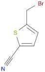 5-(BROMOMETHYL)THIOPHENE-2-CARBONITRILE